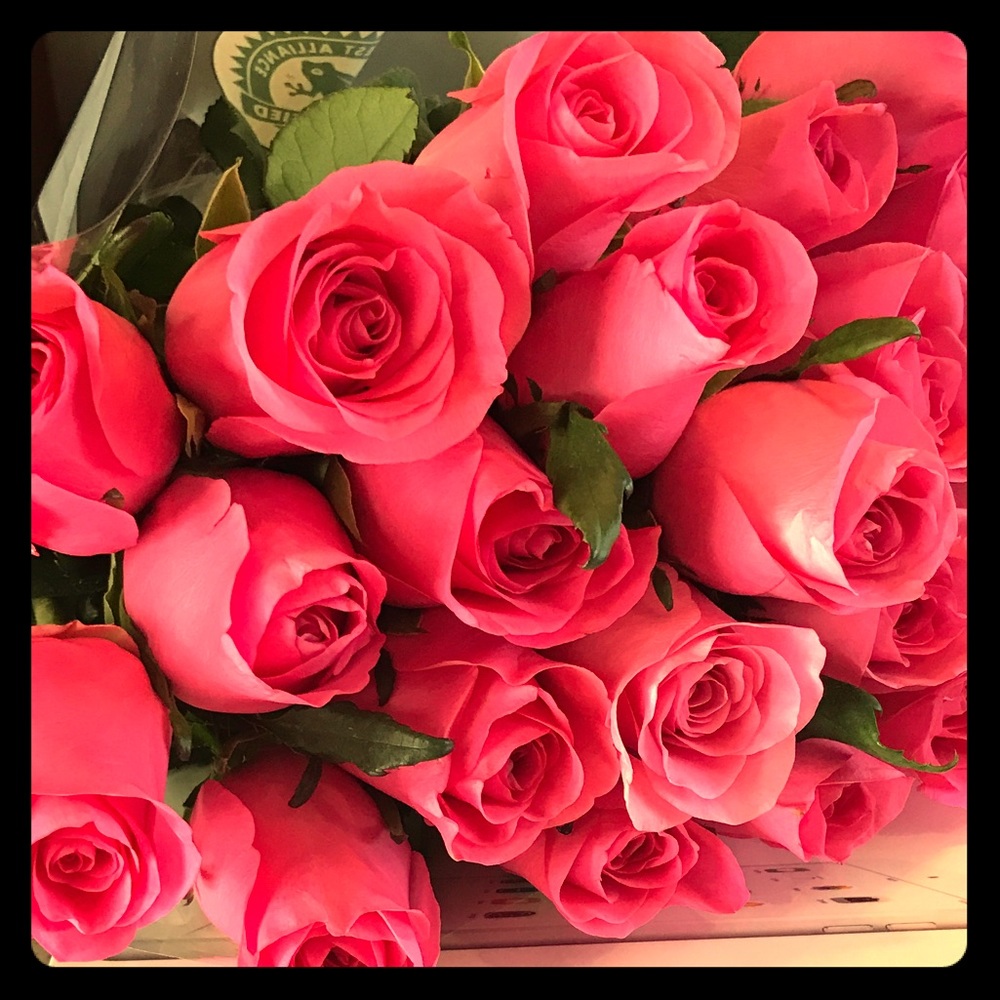 Meet your Posher, Taya